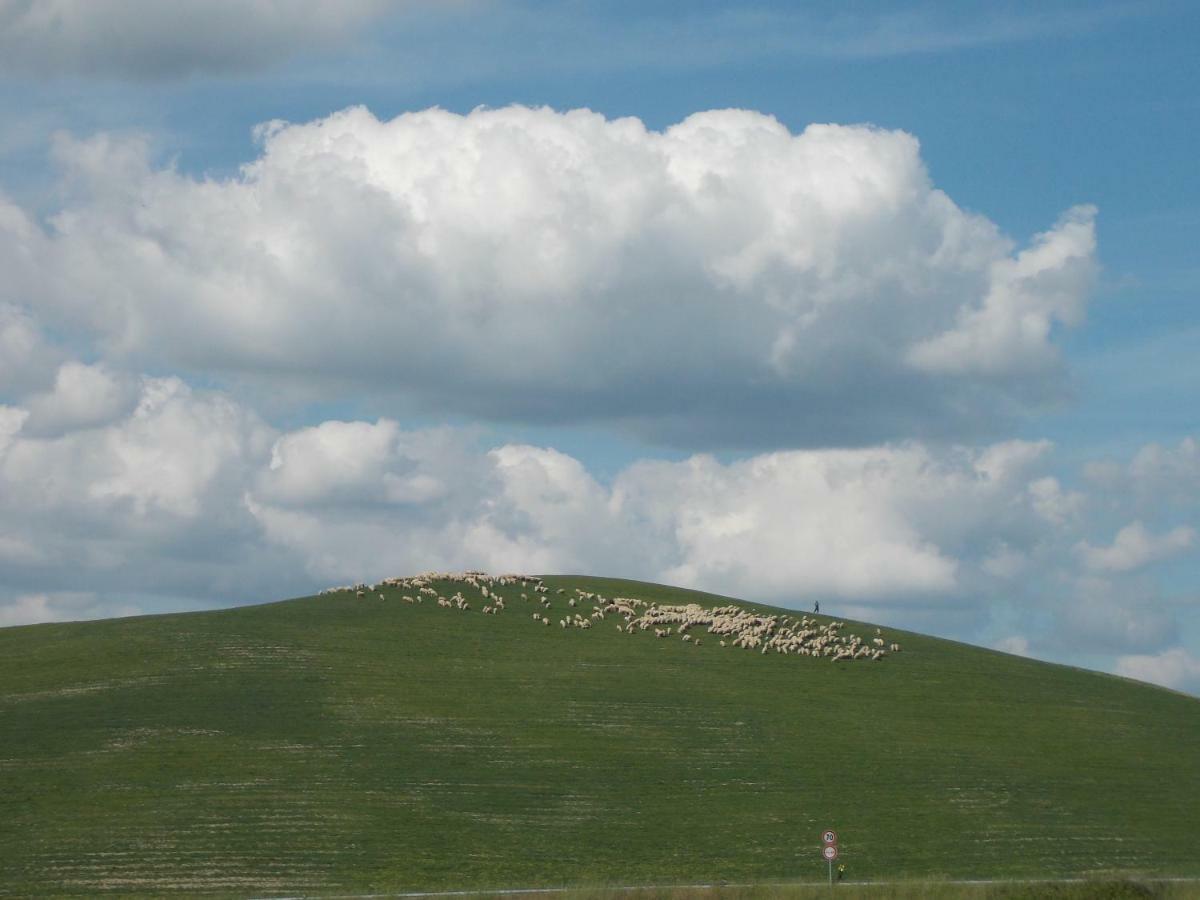 Casale Le Querciole Pension Castiglione dʼOrcia Buitenkant foto